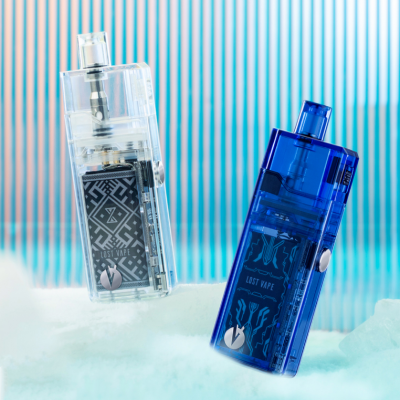 로스트베이프 팍스 나노 기기